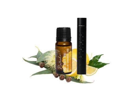 902023 Sada difuzer do auta olej Svezi dobre rano NATASHA 1