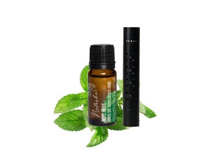 902022 Sada difuzer do auta olej Mint Mint NATASHA 1