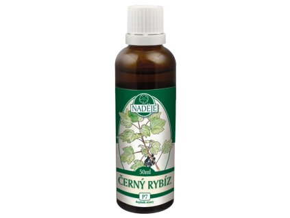 Hope Blackcurrant Buds 50ml
