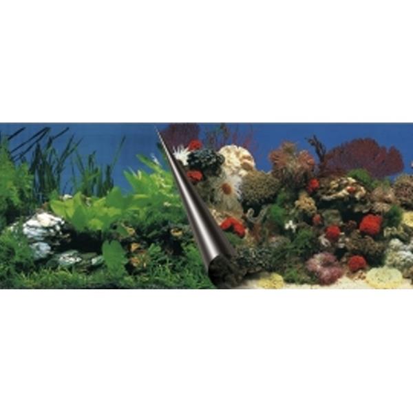 LAROY Group Pozadí akvarijní Stone+Coral EBI 60 x 30 cm