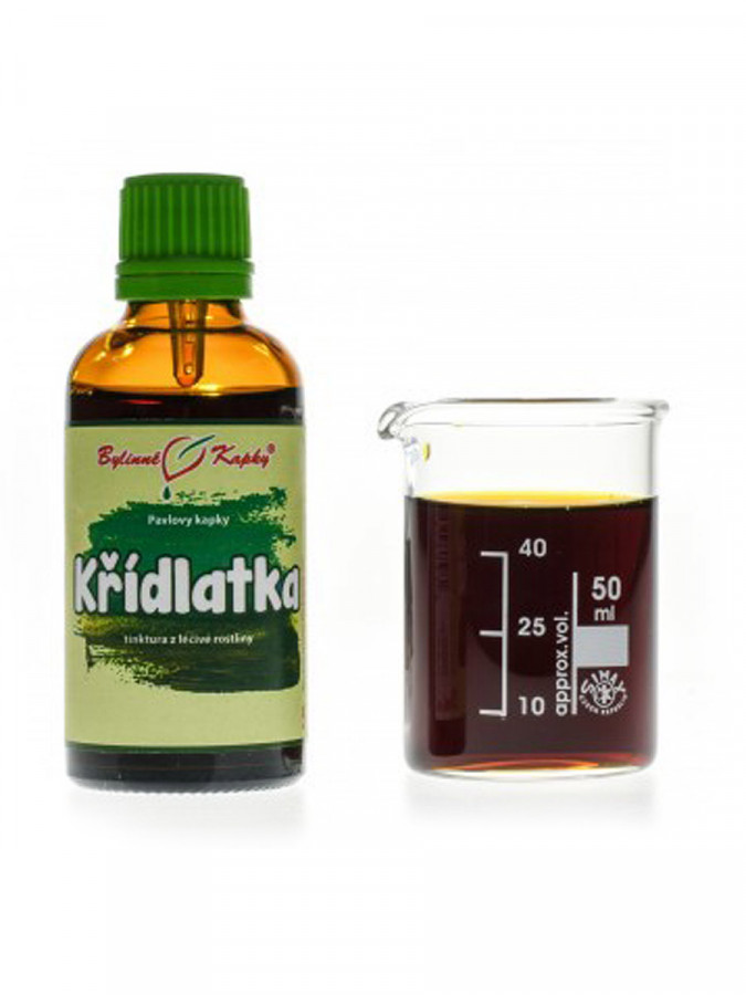 Bylinné kapky Křídlatka 50ml