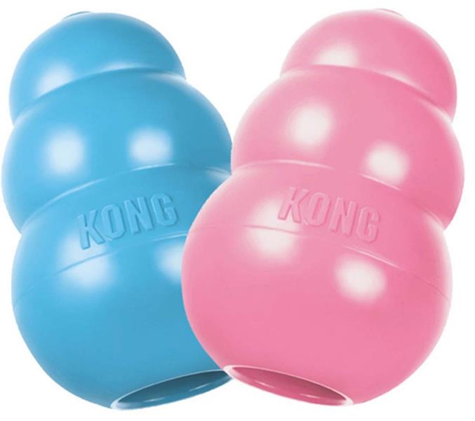 KONG Company Limited Hračka guma Puppy granát KONG L