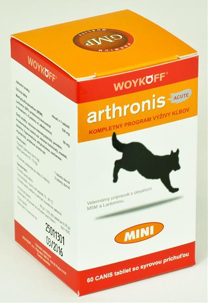 Woykoff a.s. Arthronis Acute mini 60tbl