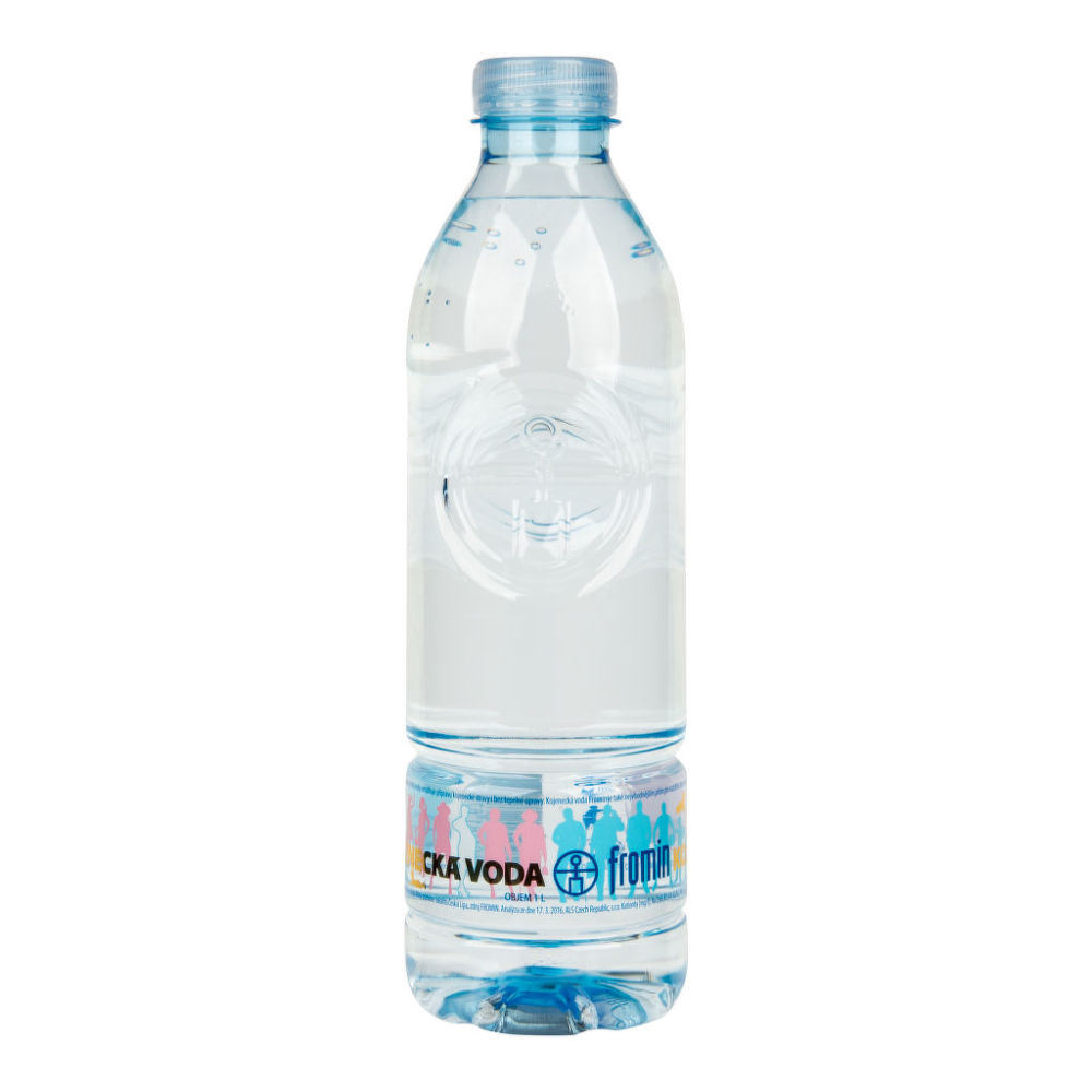 Water from the Ice Age - infant 1l FROMIN