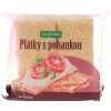 Crispy slices with buckwheat 100 g BIO BIO NEBIO