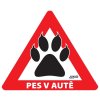 Dog in car outdoor PAW sticker