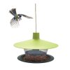 Outdoor feeder Finch plate green