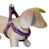 Ham Mylord violet 1x25-40 cm