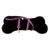 Mylord leash purple 1 x 120 cm