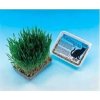 Nobby Katzengras 100 g