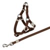 Ham din nailon cu lesa pentru pisica 26-37cm/10mm, 1.20m