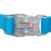 Neonleine mit leuchtendem Karabiner SL 1,2-1,8m/25mm blau (RP 2,10 CZK)