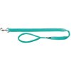 PREMIUM leash with padded handle, ocean