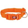 Halsband PREMIUM Papaya ABVERKAUF