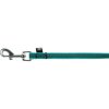 Rubberized tracking leash - turquoise
