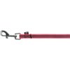 Rubberized tracking leash - pink
