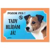 Dafiko Jack Russell Terrier Tisch