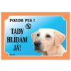 Dafiko Labrador Retriever Light Table