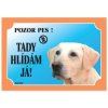Dafiko Labrador Retriever Light Table
