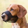 Nylon-Maulkorb mit Netz, Polyester, schwarz SM 17 - 23 cm