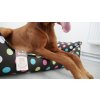 Argi rectangular dog bed - removable polyester cover - Melissa - 70 x 55 cm