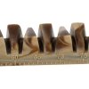 DentaFun Veggie Jaw Bone [50szt.], kość szczękowa, 22 cm/85 g