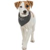 BE NORDIC neckerchief, dark gray with wind rose