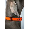 Nobby COVER obojok pvc oranžový L 50-60cm