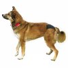 Nobby De Luxe 4 heat pants 50-59cm