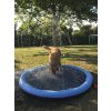 Nobby stříkací bazének Splash Pool L 150cm modrá