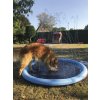 Nobby stříkací bazének Splash Pool L 150cm modrá