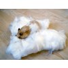 Nobby cotton wool for creating nests for hamsters 25g