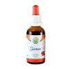 Guarana AF tinktura