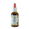 Cocoa beans AF tincture 50ml