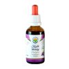 Valerian AF tincture