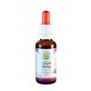 Valerian AF tincture
