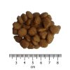 OPTIMAnova Cat Exquisite 20 kg
