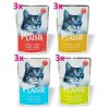 Plaisir Cat Multipack, kapsičky 100 g (12 ks)
