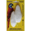 Os de sepie pe carton cca 8 cm (2 buc)