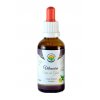 Vilcacora - Uňa de Gato AF tincture