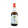 Vilcacora - Uňa de Gato AF tincture