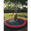 Nobby splash pool Splash Pool M 100cm red
