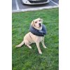 INFLATABLE COLLAR