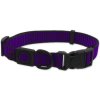 Obojok Active Dog Strong S fialový 1,5x27-37cm