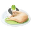 Catit Wellness Központ 2.0