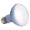 Exo Terra Daylight Basking Spot 75W Bulb