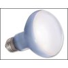 Exo Terra Daylight Basking Spot 75W Bulb