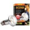 Exo Terra Intense Basking Spot Bulb 25W