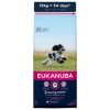 EUKANUBA catelus mediu 15 kg