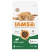 IAMS Cat Adult Miel 2kg